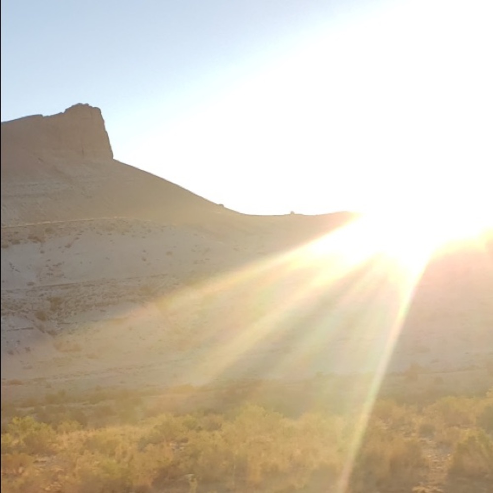 Meet your Posher, Ginger